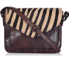 Brown Zebra